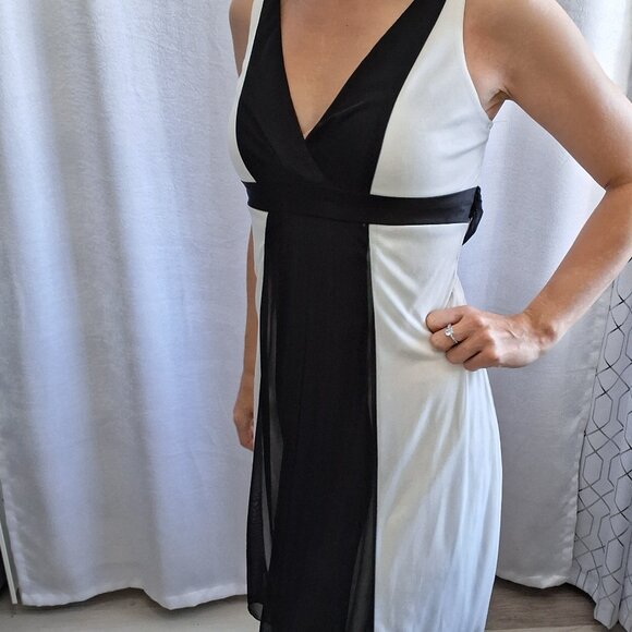 28. Alyn Paige V-Neck sleeveless Mini Cocktail Dress sheer overlay skirt empire - Picture 4 of 5